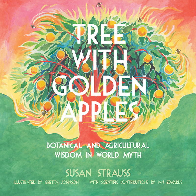 Cover image of book by Susan Strauss, 'Tree With Golden Apples,' illustrated by Gretta Johnson