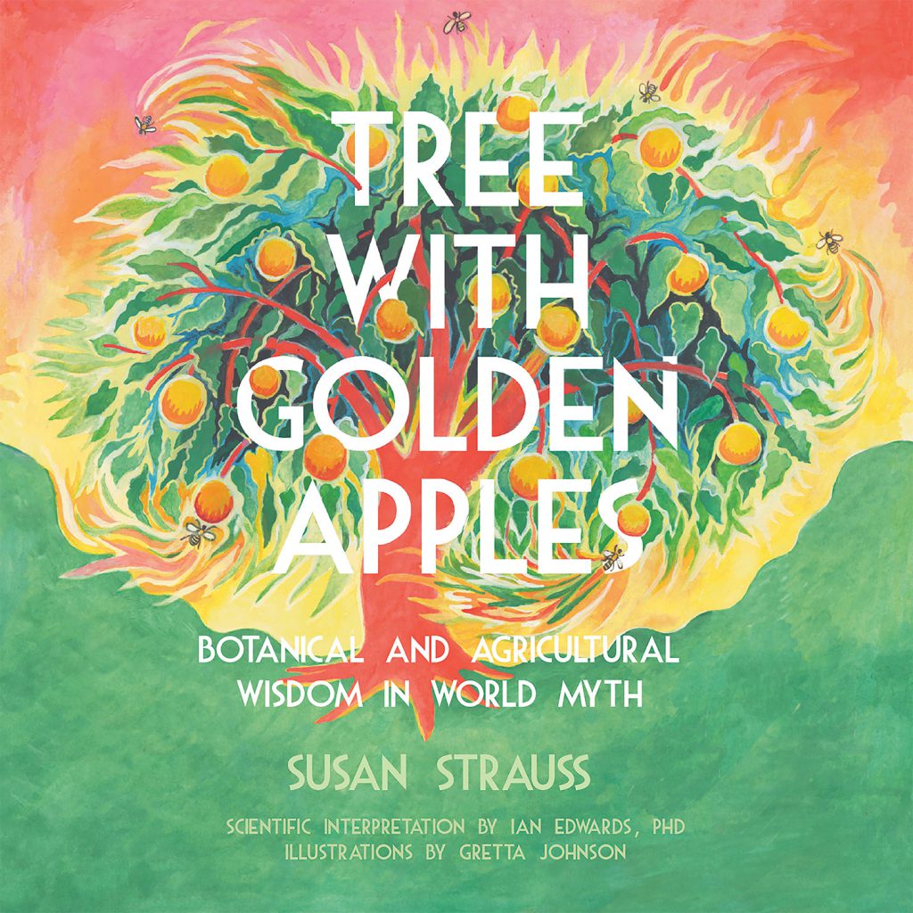 Cover image of book by Susan Strauss, 'Tree With Golden Apples,' illustrated by Gretta Johnson